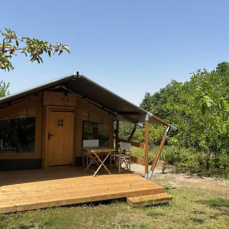 خيمة فخمة Vulture Glamping ملفي